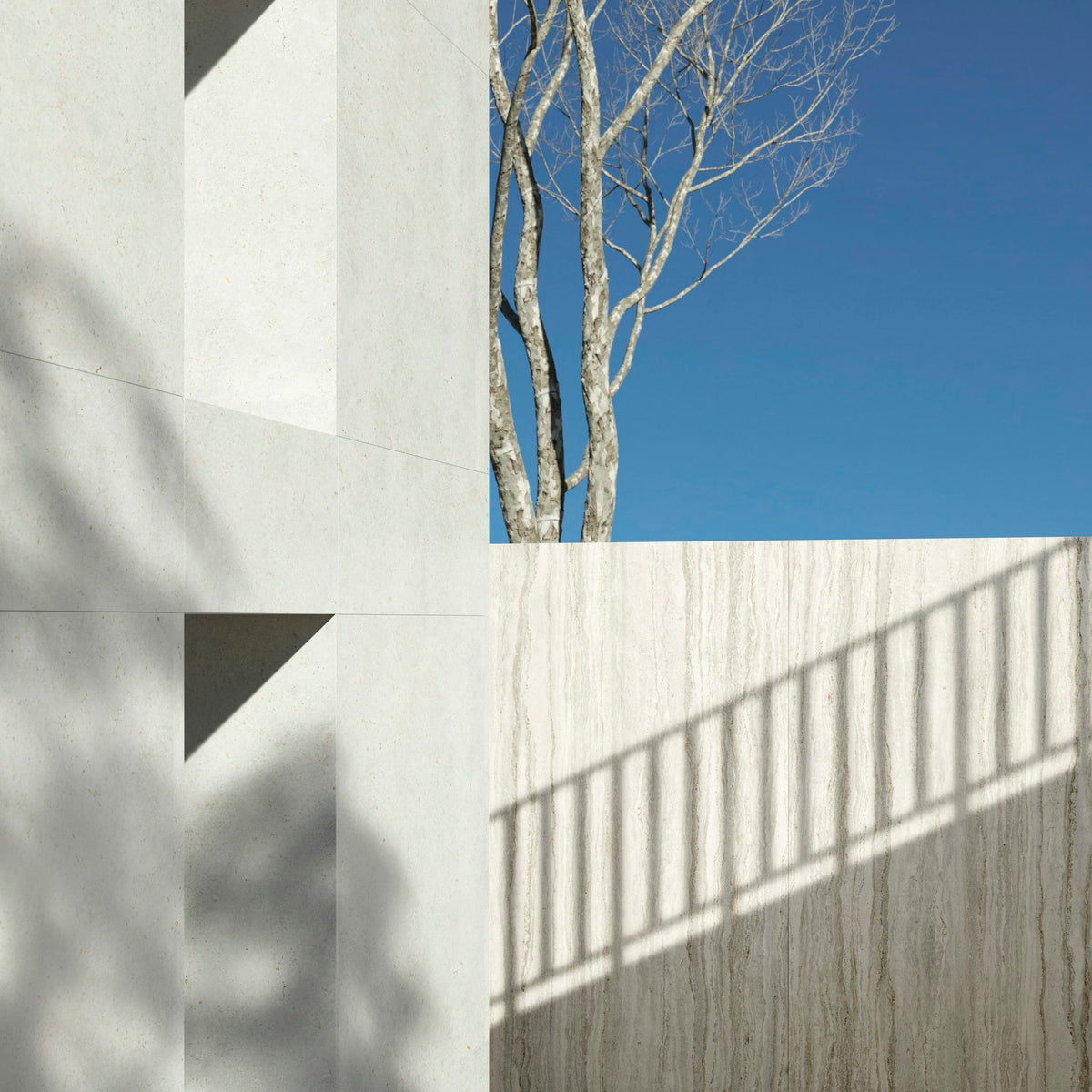 Dekton Polar — projet dekton pietra edition exterior trevi polar | Union Stone