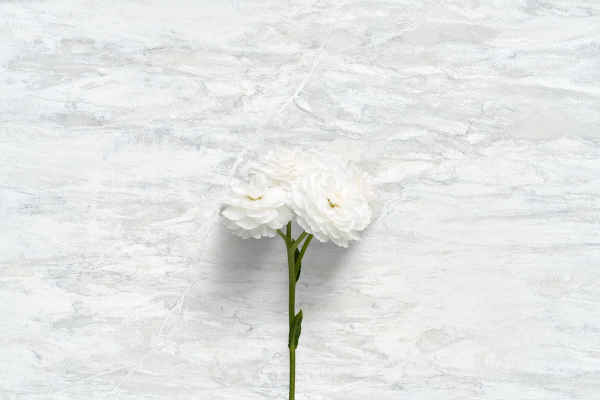 HanStone Elba White — ambiance 6 | Union Stone