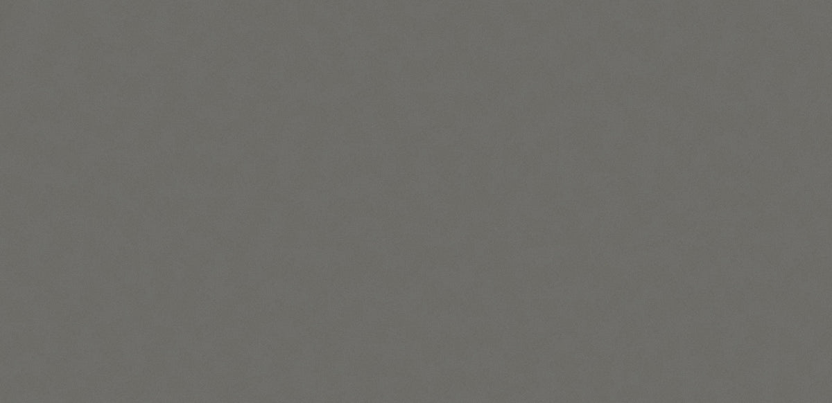 Silestone Gris Expo — dalle pleine grandeur | Union Stone